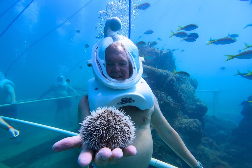 SeaTrek Tour St Maarten