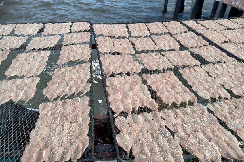 Tourists Walking Past a Fish Drying Rack in Cambodia