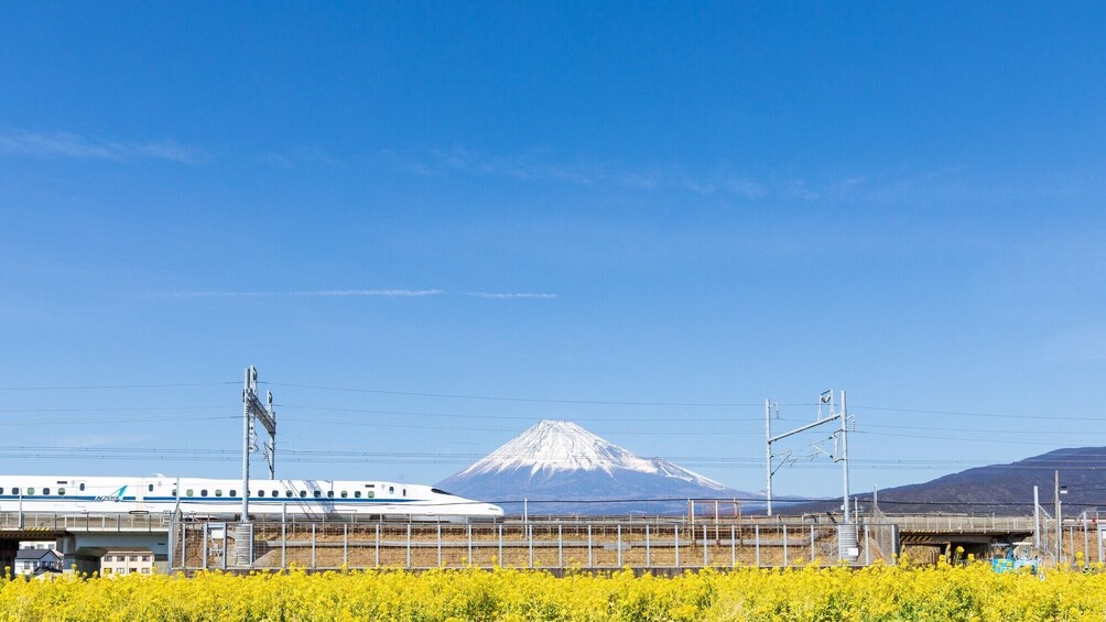 Tokyo to Shin-Osaka Bullet Train Shinkansen Tickets 