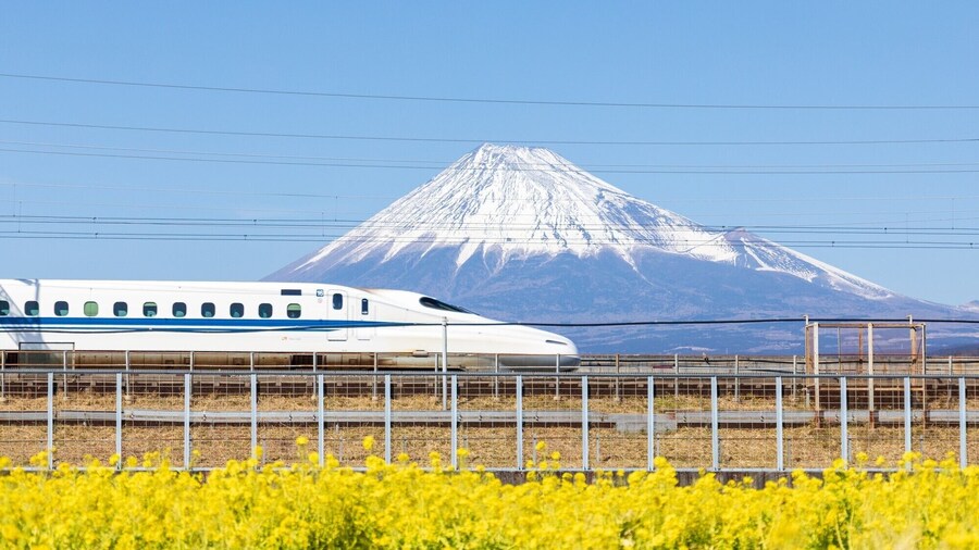 Tokyo to Shin-Osaka Bullet Train Shinkansen Tickets