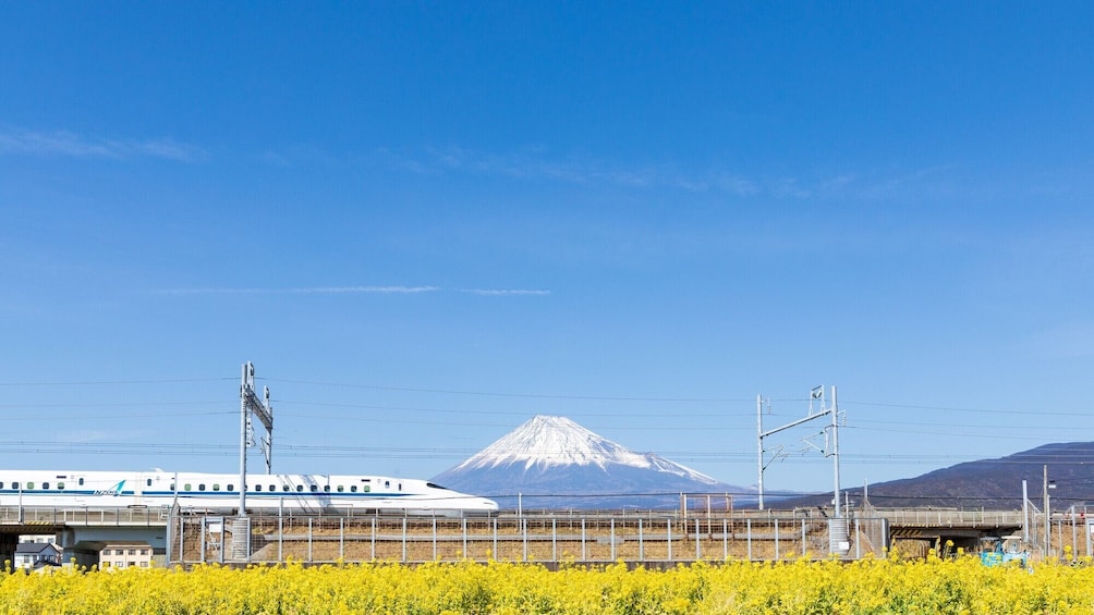 Shin-Osaka to Tokyo Bullet Train Shinkansen Tickets