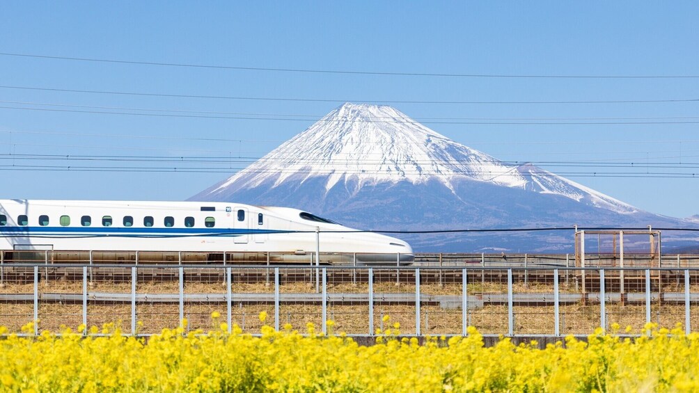 Shin-Osaka to Tokyo  Bullet Train Shinkansen Tickets