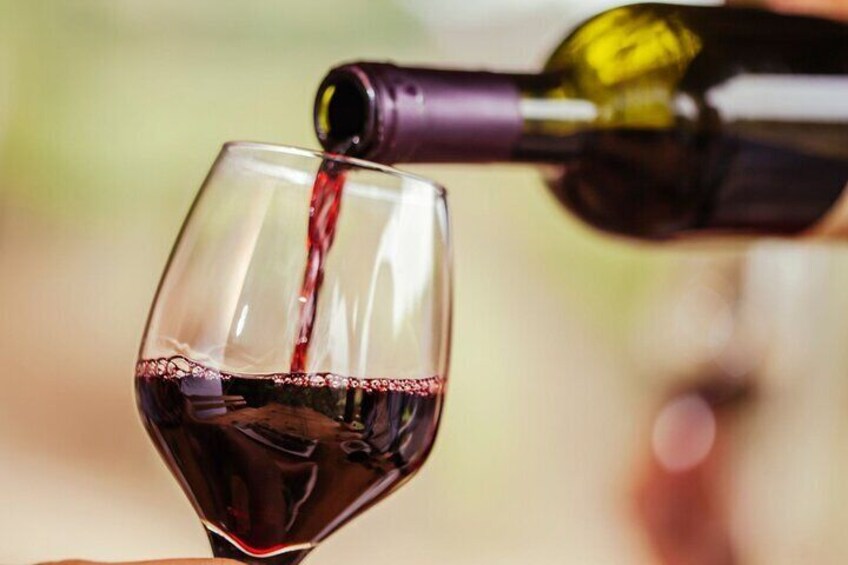 Lesson and Wine Tasting in Bologna