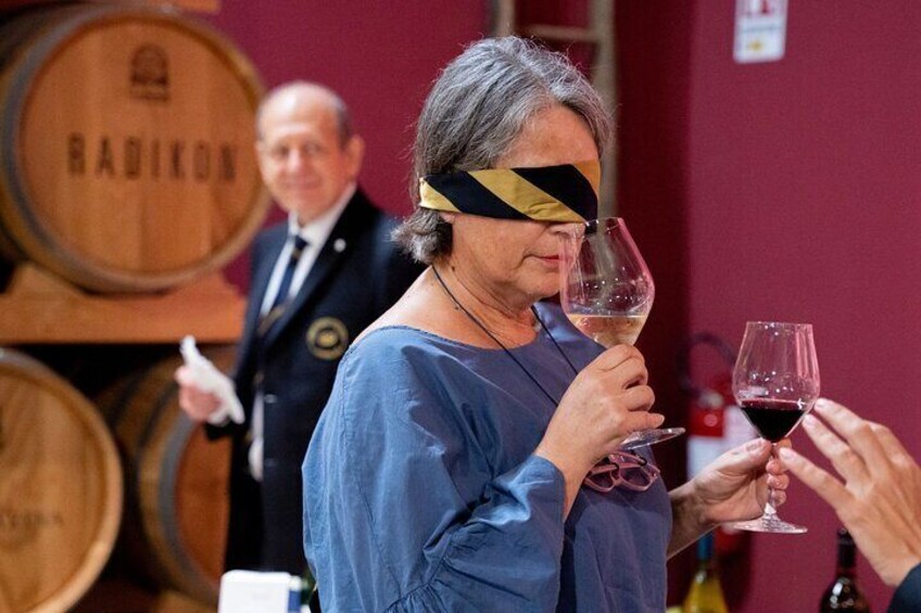 Lesson and Wine Tasting in Bologna