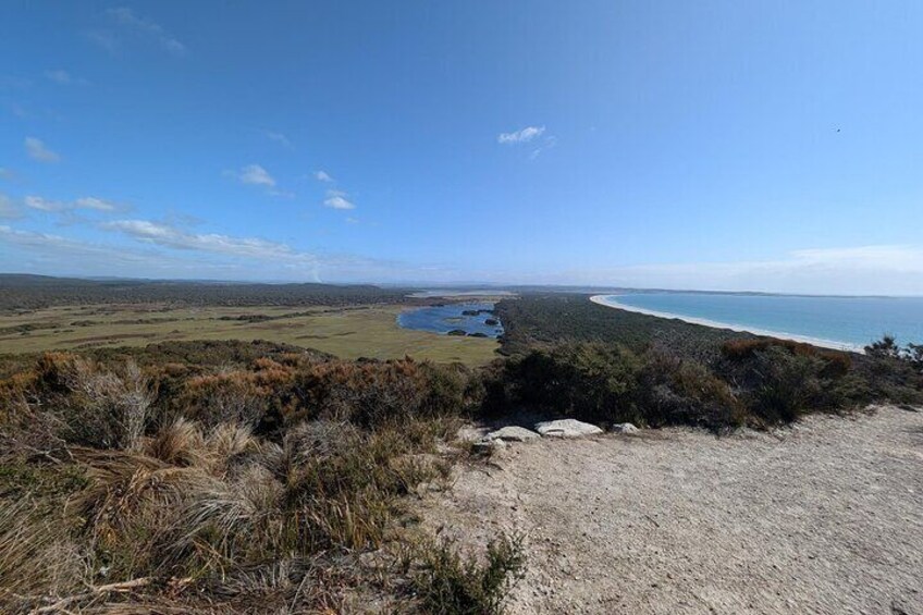 Narawntapu Coastal Walking and Wine Tour Adventure