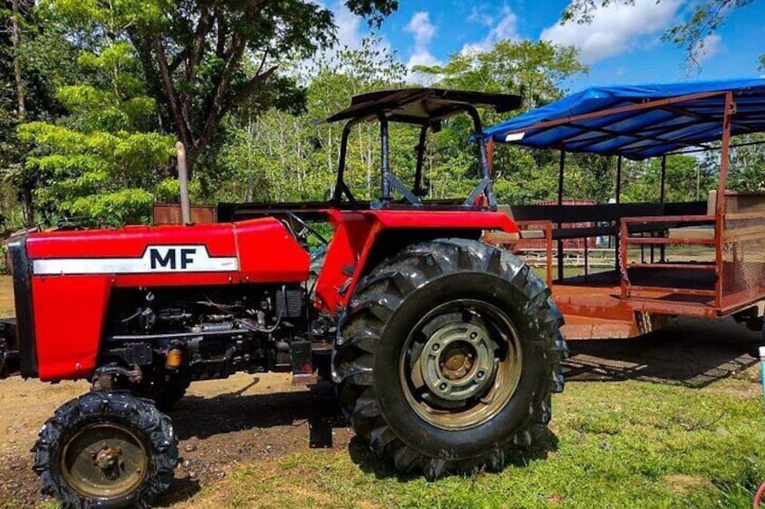 Party Safari Tractor Tour with Visit the waterfall