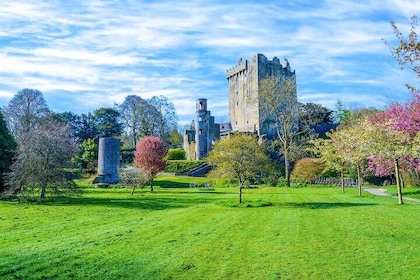 Private Tour From Dublin to Blarney Castle and Rock of Cashel