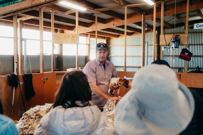 James the farmer 