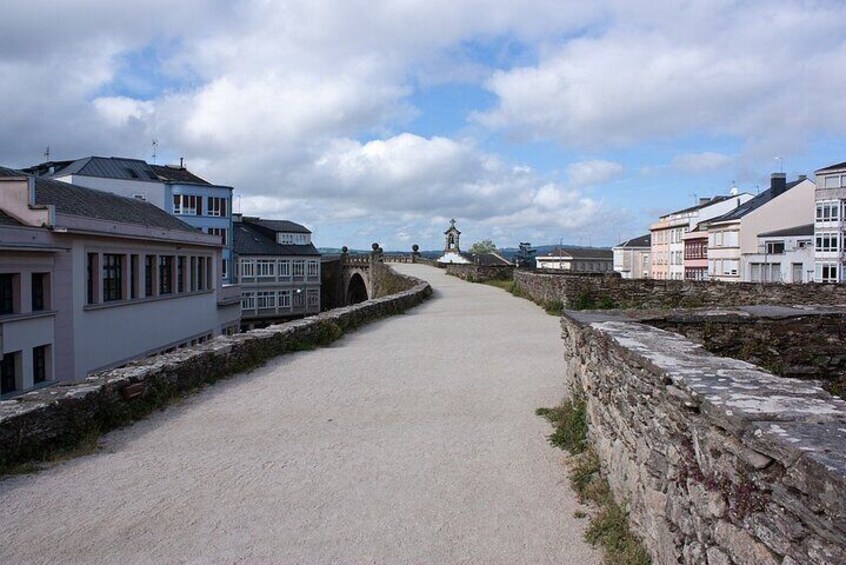 Private Tour of Lugo and Castro de Viladonga from A Coruña