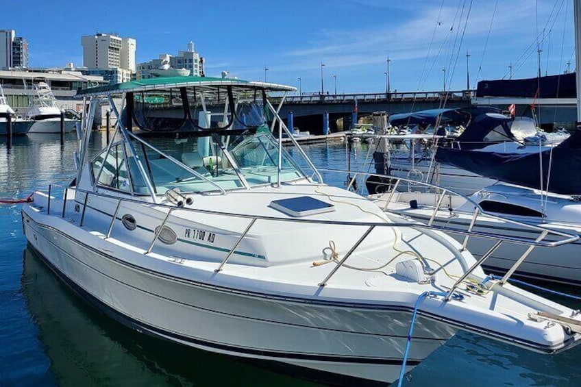 San Juan Bay Charter Tour