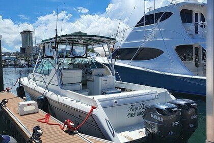 • Party Boat at San Juan Bay: Day Cruise II | Drink & Snacks •