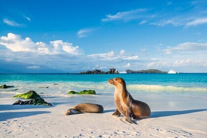 5 Days Island Hopping Exploration in Galapagos