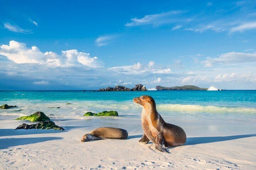 Galapagos Islands 5-Day tour