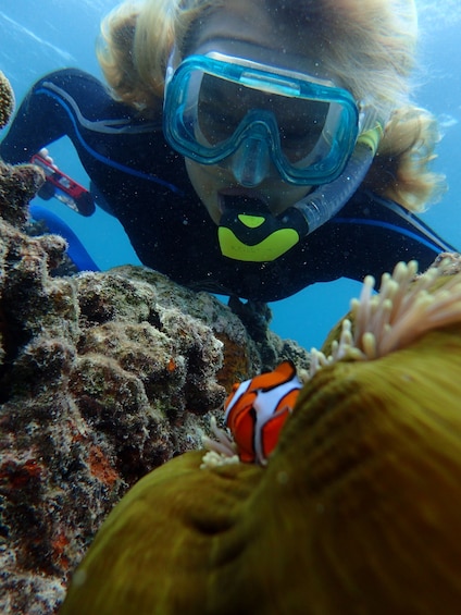 Picture 10 for Activity Port Douglas: Outer Great Barrier Reef Snorkeling Cruise