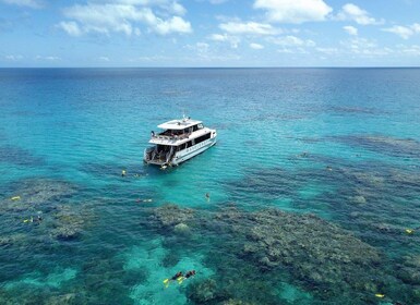 Port Douglas: Outer Great Barrier Reef Snorkeling Cruise