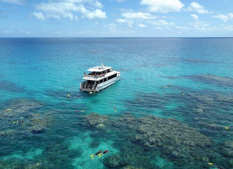 Port Douglas: Outer Great Barrier Reef Snorkeling Cruise