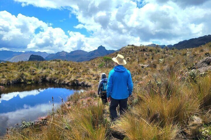 Cajas National park Cuenca ecuador