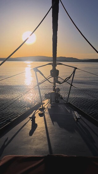 Picture 6 for Activity Sotogrande: Dolphin Watching Boat Trip with Drink