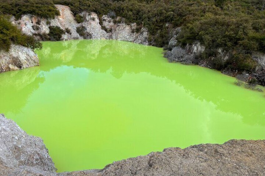 From Rotorua WAI-O-TAPU Geothermal Wonderland Half Day Tour