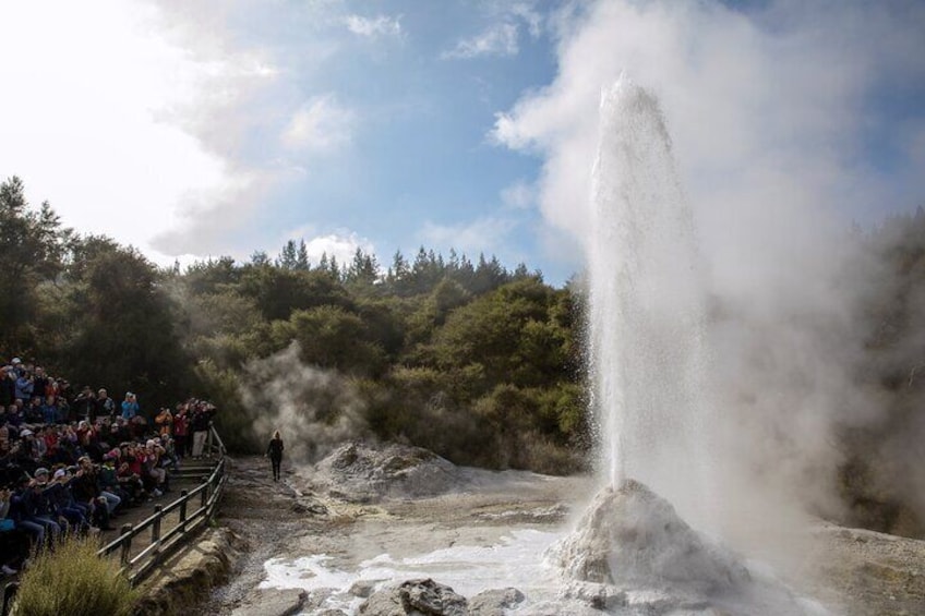 From Rotorua WAI-O-TAPU Geothermal Wonderland Half Day Tour