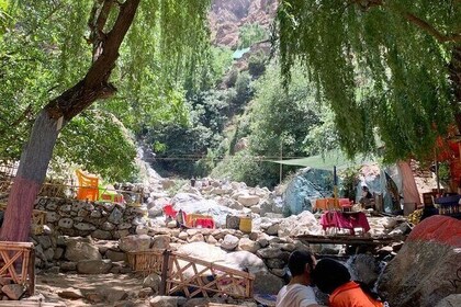 Trekking the Stunning Ourika Valley: A Day Trip from Marrakech