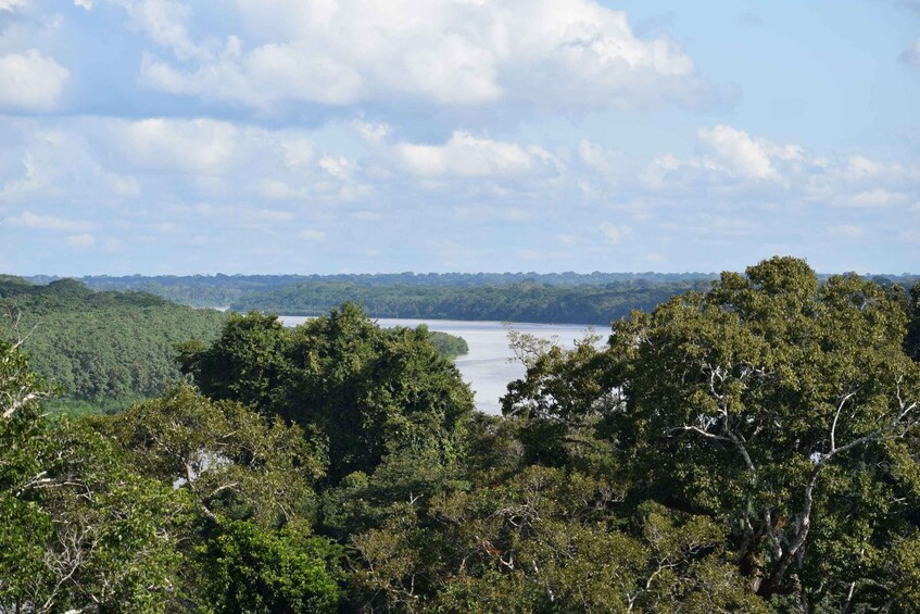 Picture 1 for Activity Canopy walk and monkey island