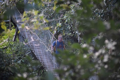 Canopy walk and monkey island