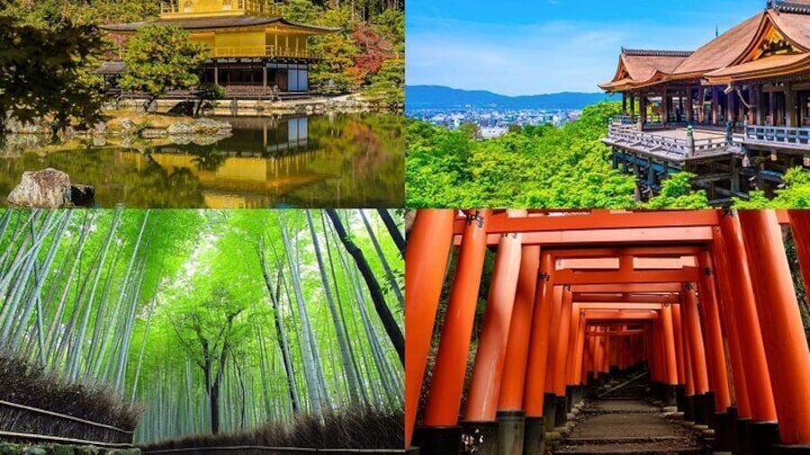 Wanna visit all? choose 8h then! 4h tour will take you either right or left side of pictures.