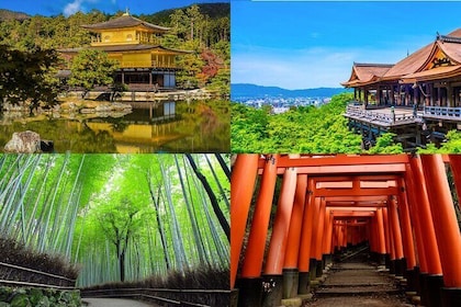 Private Kyoto Tour Personalize Your Day with Our Passionate Guide