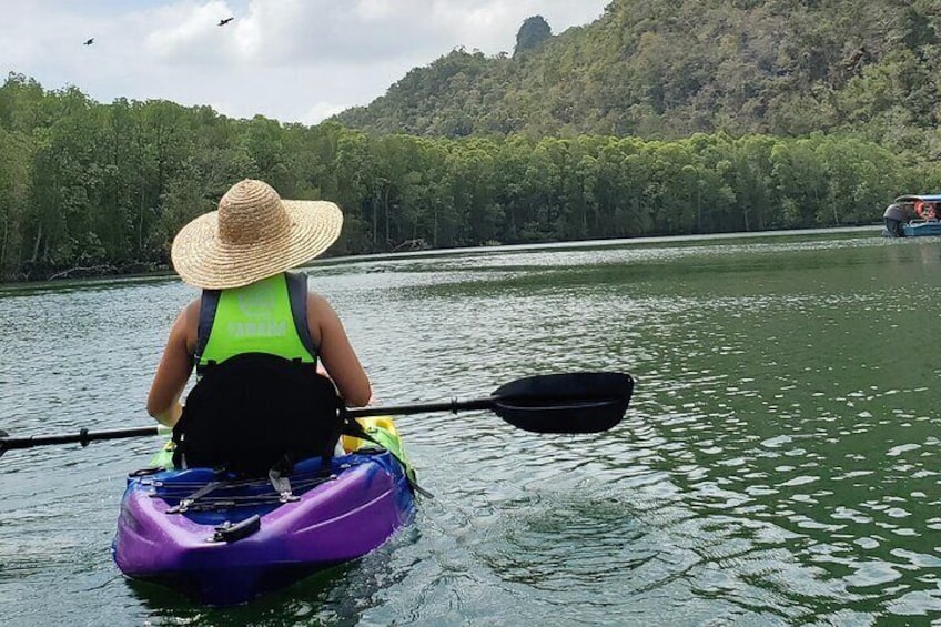 Langkawi Mangrove Kayak Tour by Sham