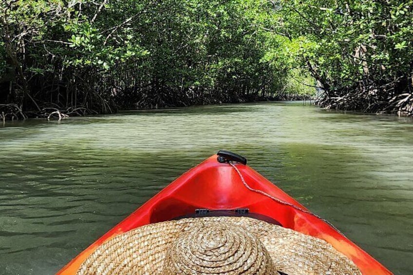 Langkawi Mangrove Kayak Tour by Sham