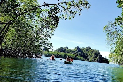 Langkawi Mangrove Kayak Tour with Lunch