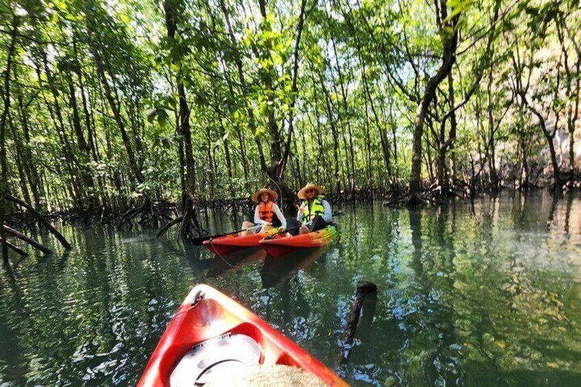 Langkawi Mangrove Kayak Tour by Sham