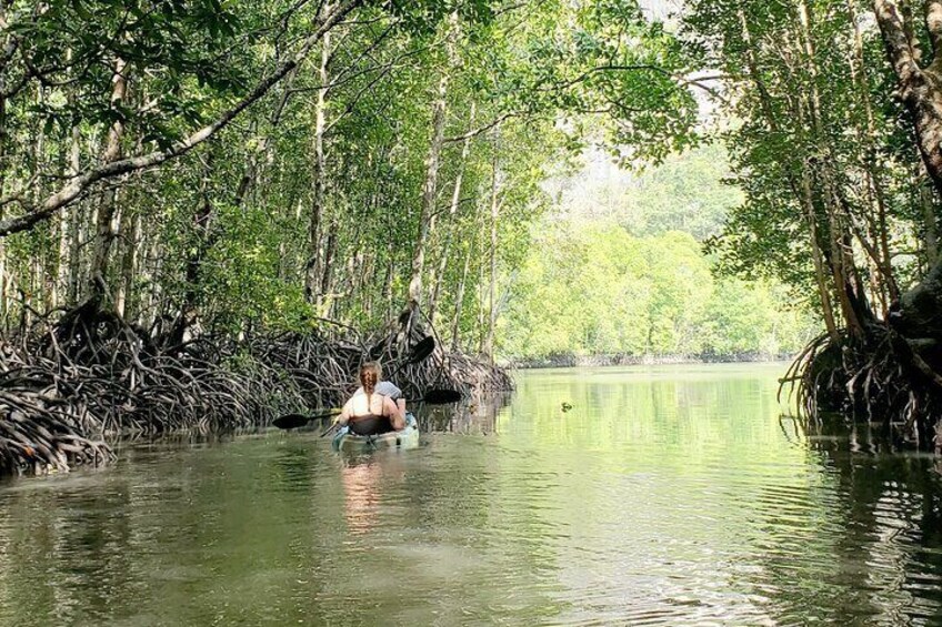 Langkawi Mangrove Kayak Tour by Sham