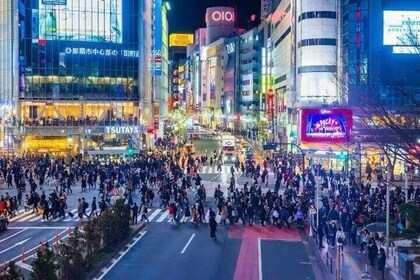 Night Tour Tokyo in Shinjuku