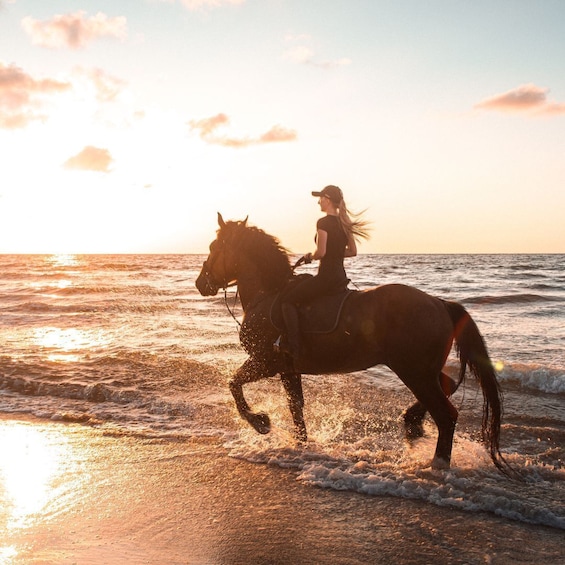 Beach Horse Riding Adventure Dubai 