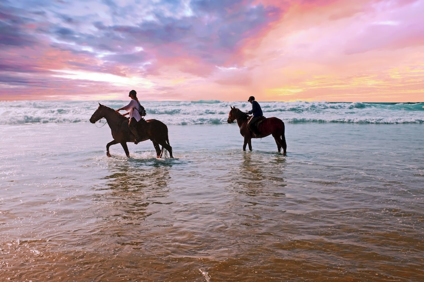 Beach Horse Riding Adventure Dubai