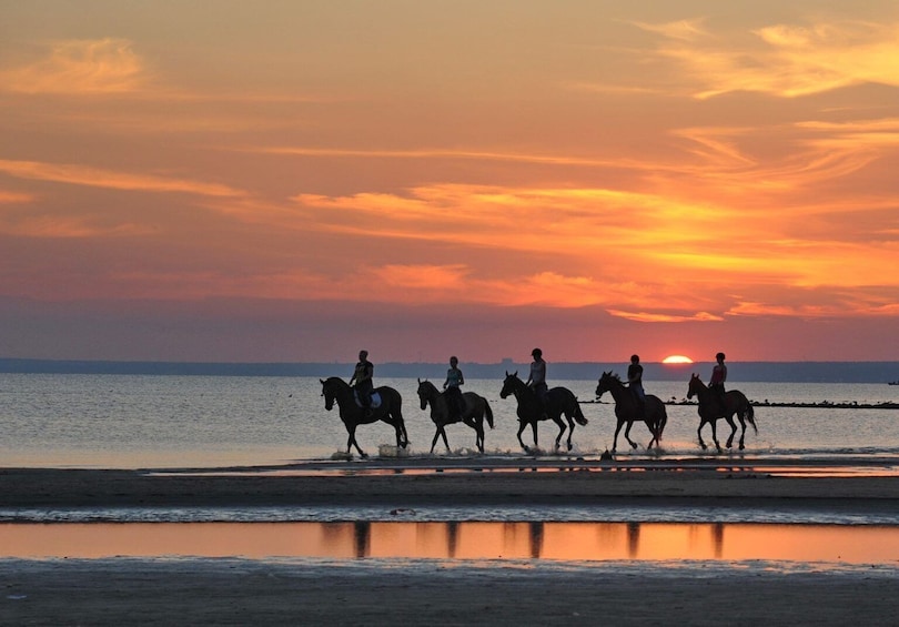 Beach Horse Riding Adventure Dubai 