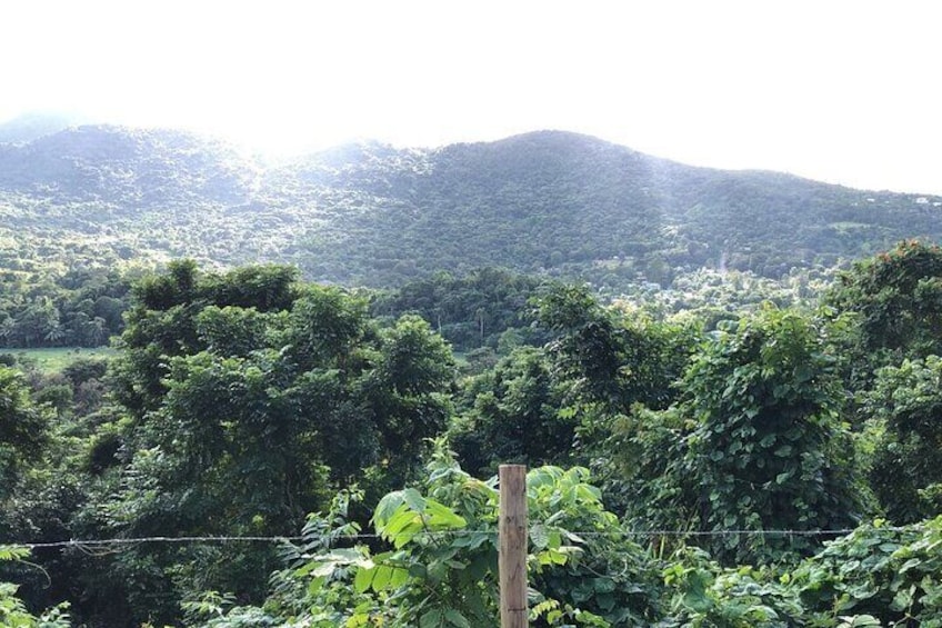 El Yunque National Park Puerto Rico 2 Hours ATV Two Seaters