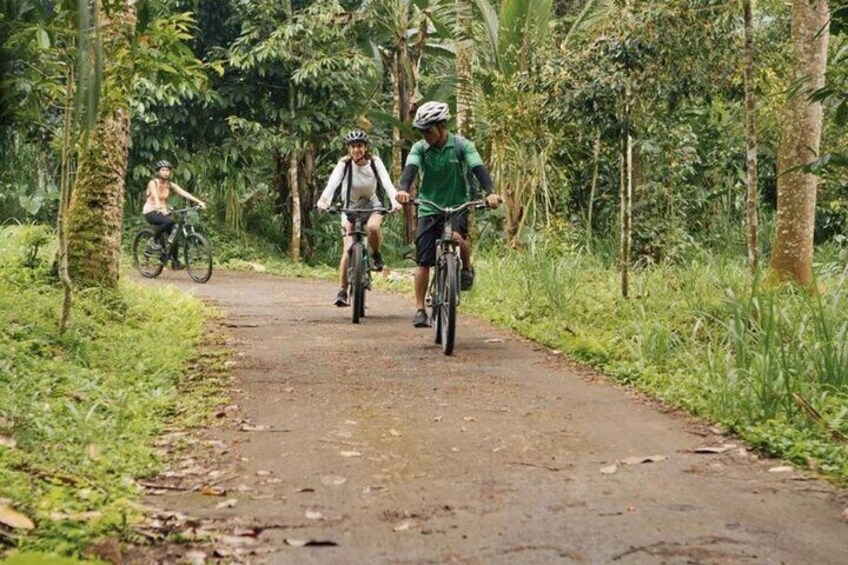 Kintamani to Ubud Downhill Bike Tour with Lunch