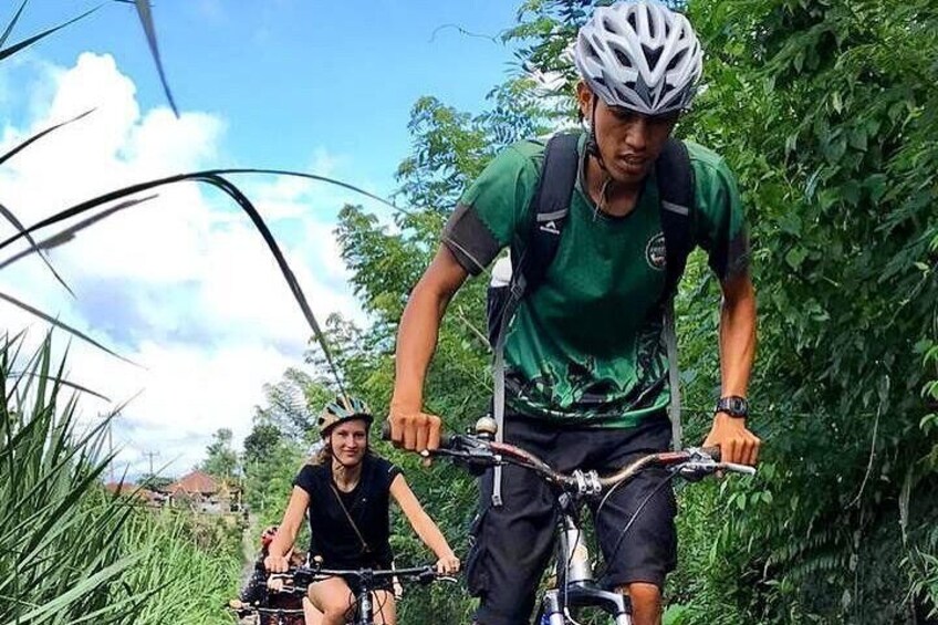 Kintamani to Ubud Downhill Bike Tour with Lunch
