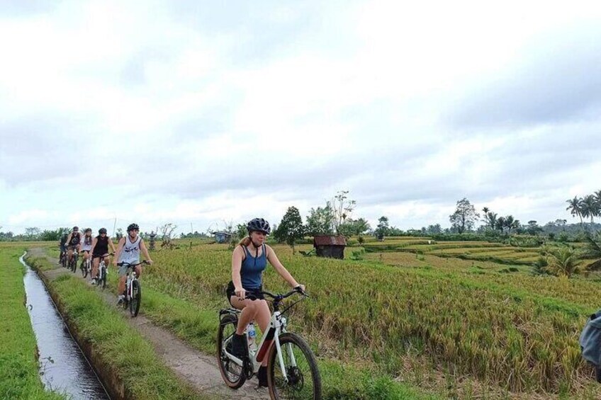 Kintamani to Ubud Downhill Bike Tour with Lunch