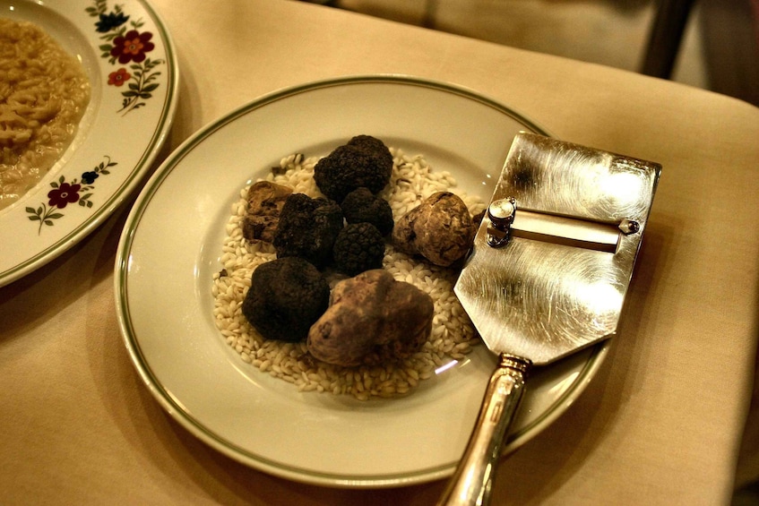 Picture 4 for Activity Volterra: Truffle Hunt and Tuscan Light Lunch