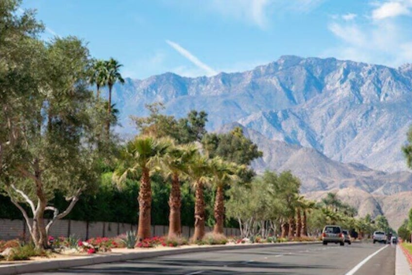 Private tour to Palm Springs from Los Angeles