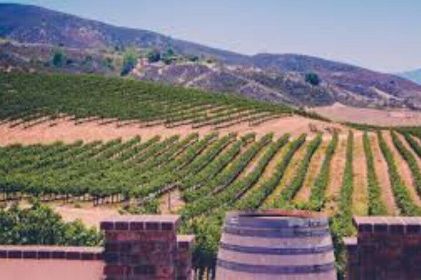 Small Group Wine Tour to Temecula from Los Angeles