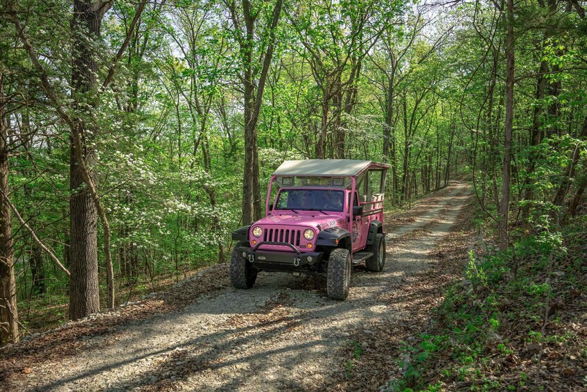 Picture 2 for Activity Branson: Table Rock Lake and Baird Mountain Jeep Tour