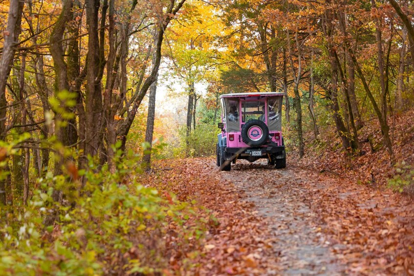 Picture 5 for Activity Branson: Table Rock Lake and Baird Mountain Jeep Tour