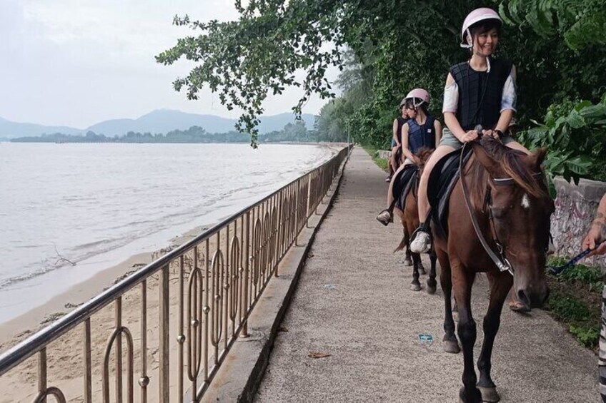 Phuket Eco Friendly Beach Horse Riding Experience