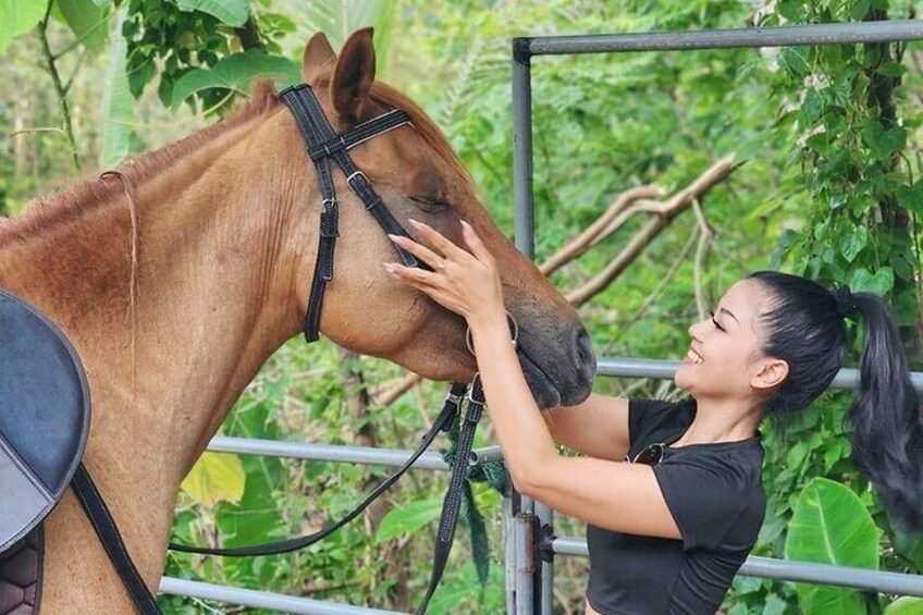 Phuket Eco Friendly Beach Horse Riding Experience