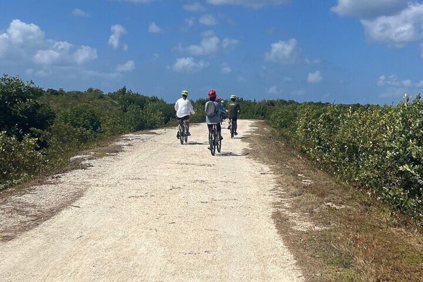 Private E-Bike Adventure in the Cayman Islands